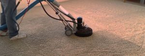 Carpet Cleaner